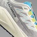 Herren-Laufschuhe Salomon Aero Blaze 3 GRVL vanilla ice/ojos del salar/black 8