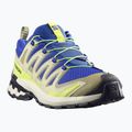 Herren-Laufschuhe Salomon XA Pro 3D V9 bluing/bog/acid lime 2