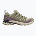 Laufschuhe für Damen Salomon XA Pro 3D V9 GTX bog/aloe