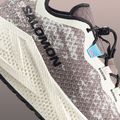 Damen-Laufschuhe Salomon Aero Glide 4 GRVL vanilla ice/black iron 4