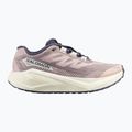 Damen-Laufschuhe Salomon Aero Blaze 3 GRVL shadow gray/vanilla ice/9iron