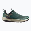 Herren Wanderschuhe Salomon Elixir Activ GTX scarab/green gable 8