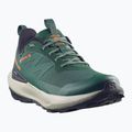 Herren Wanderschuhe Salomon Elixir Activ GTX scarab/green gable 10
