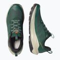 Herren Wanderschuhe Salomon Elixir Activ GTX scarab/green gable 12