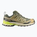 Herren-Laufschuhe Salomon XA Pro 3D V9 GTX grape leaf/aloe