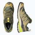 Herren-Laufschuhe Salomon XA Pro 3D V9 GTX grape leaf/aloe 3