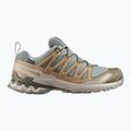Herren-Laufschuhe Salomon XA Pro 3D V9 GTX sedona sage/brilliant olive