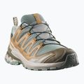 Herren-Laufschuhe Salomon XA Pro 3D V9 GTX sedona sage/brilliant olive 2