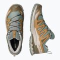 Herren-Laufschuhe Salomon XA Pro 3D V9 GTX sedona sage/brilliant olive 3