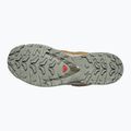 Herren-Laufschuhe Salomon XA Pro 3D V9 GTX sedona sage/brilliant olive 4