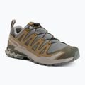 Herren-Laufschuhe Salomon XA Pro 3D V9 GTX sedona sage/brilliant olive