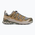 Herren-Laufschuhe Salomon XA Pro 3D V9 GTX sedona sage/brilliant olive 2