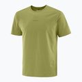 Herren-Shirt Salomon Trackline cardamon seed 5