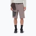 Herren-Trekking-Shorts Salomon Outerpath Utility iron