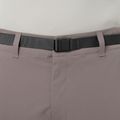 Trekkingshorts Herren Salomon Outerpath Utility iron 4
