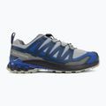 Herren-Laufschuhe Salomon XA Pro 3D V9 wrought iron/spellbound 2