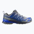 Herren-Laufschuhe Salomon XA Pro 3D V9 wrought iron/spellbound