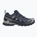 Herren-Laufschuhe Salomon XA Pro 3D V9 GTX spellbound/maritime blue
