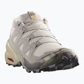 Herren-Laufschuhe Salomon Speedcross 6 silver cloud/paloma 2