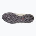 Herren-Laufschuhe Salomon Speedcross 6 silver cloud/paloma 5