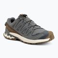 Herren-Laufschuhe Salomon XA Pro 3D V9 GTX Lifelong sedona sage/coyote brown