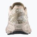 Laufschuhe für Damen Salomon Aero Glide 4 GRVL tapioca/desert tan 2