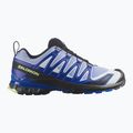 Herren-Laufschuhe Salomon XA Pro 3D V9 Icon black/brunnera blue