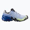Herren-Laufschuhe Salomon Speedcross 6 GTX Icon brunnera blue/surf the web