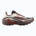 Herren-Laufschuhe Salomon Genesis 2 vanilla ice/iron