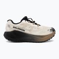 Laufschuhe für Damen Salomon Aero Blaze 4 GRVL GTX vanilla ice/black 2