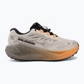 Laufschuhe für Damen Salomon Aero Blaze 4 GRVL GTX rainy day/black 2