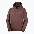 Laufsweatshirt für Herren Salomon Shortney Hoodie shopping bag