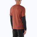 Herren-Laufshirt Salomon Sense Aero GFX Tee SS burnt umber/coffee bean 2