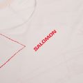 Herren-Laufshirt Salomon S\Lab Speed Tee SS lilac ash 3