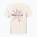 Herren-Laufshirt Salomon Shakeout Core GFX SS Tee whisper white/pink frosting 6