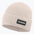 Wintermütze Salomon Classic silver cloud
