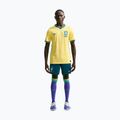 Herren-Fußballtrikot Nike Brazil 2026/27 Match Home canary/light mint/geode teal 2