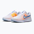 Herren-Laufschuhe Nike Run Defy white/topaz gold/blue crystal 3