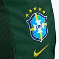 Rucksack Nike Academy Brazil 30 l pro green 4