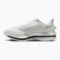 Herren-Laufschuhe Nike Pegasus Premium photon dust/metallic Silver/black 2