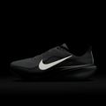 Herren-Laufschuhe Nike Pegasus 42 summit white/metallic silver-photon dust 5
