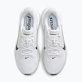 Herren-Laufschuhe Nike Pegasus 42 white/photon dust/black 5