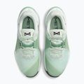 Damen Trainingsschuhe Nike Metcon 10 barely green/steam/light silver/black 5
