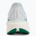 Laufschuhe für Damen Nike Pegasus 42 white/malachite/metallic silver 6