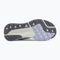 Laufschuhe für Damen Nike ACG Pegasus Trail ghost/mineral slate/cement grey 4