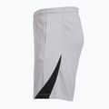 Herren Fußballshorts Nike Paris Saint-Germain Strike SE atmosphere grey/black/black 8