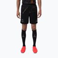 Herren-Fußballshorts Nike Paris Saint-Germain 2025/26 Match SE black/black