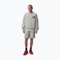 Herren-Shorts Nike Jordan Fleece grey heather/black 2