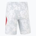 Herren-Fußballshorts Nike Dri-Fit Poland Stadium Home white/field silver 2
