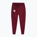 Herren-Fußballhose Nike Tech Fleece Poland Jogger team red 3